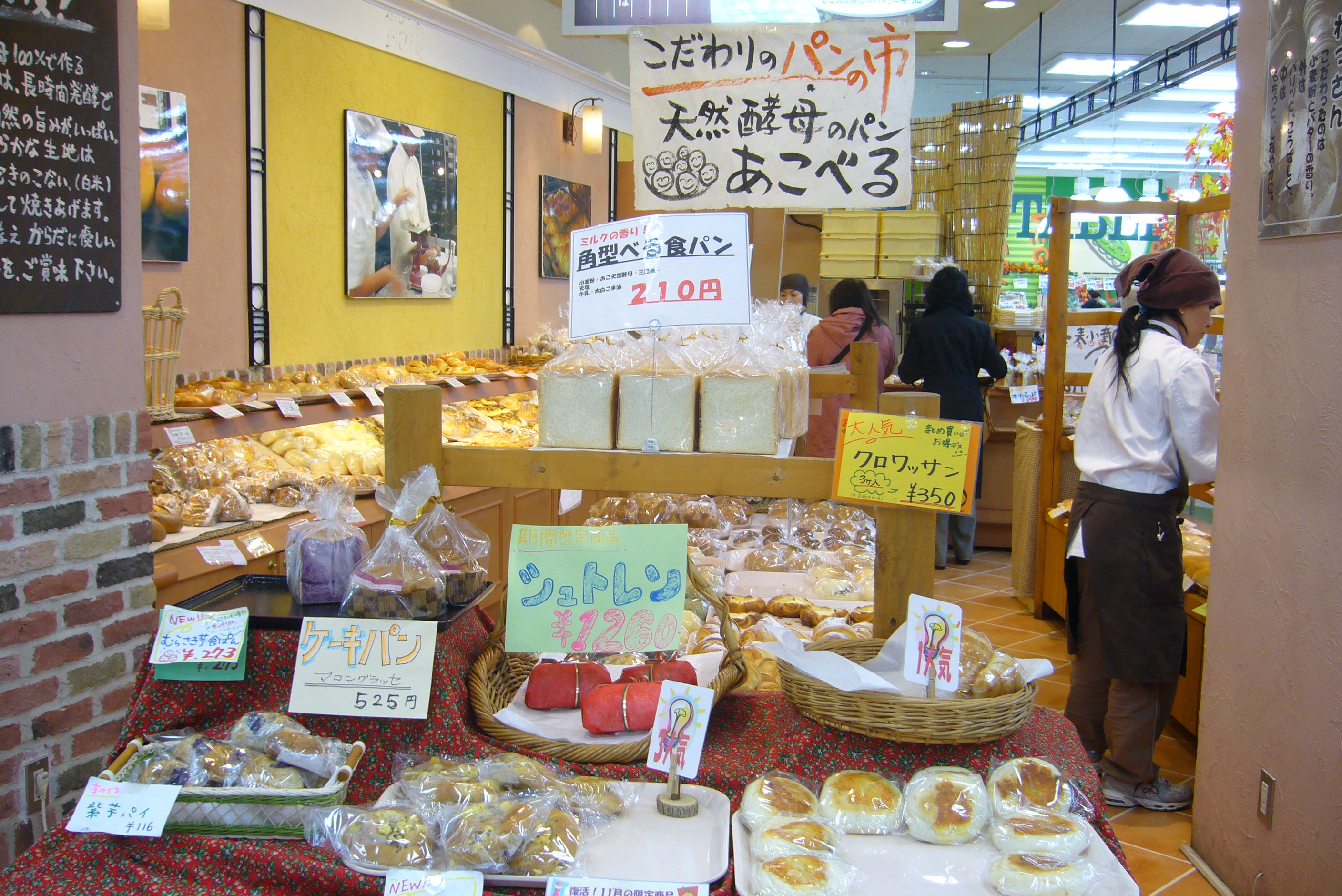 img-546